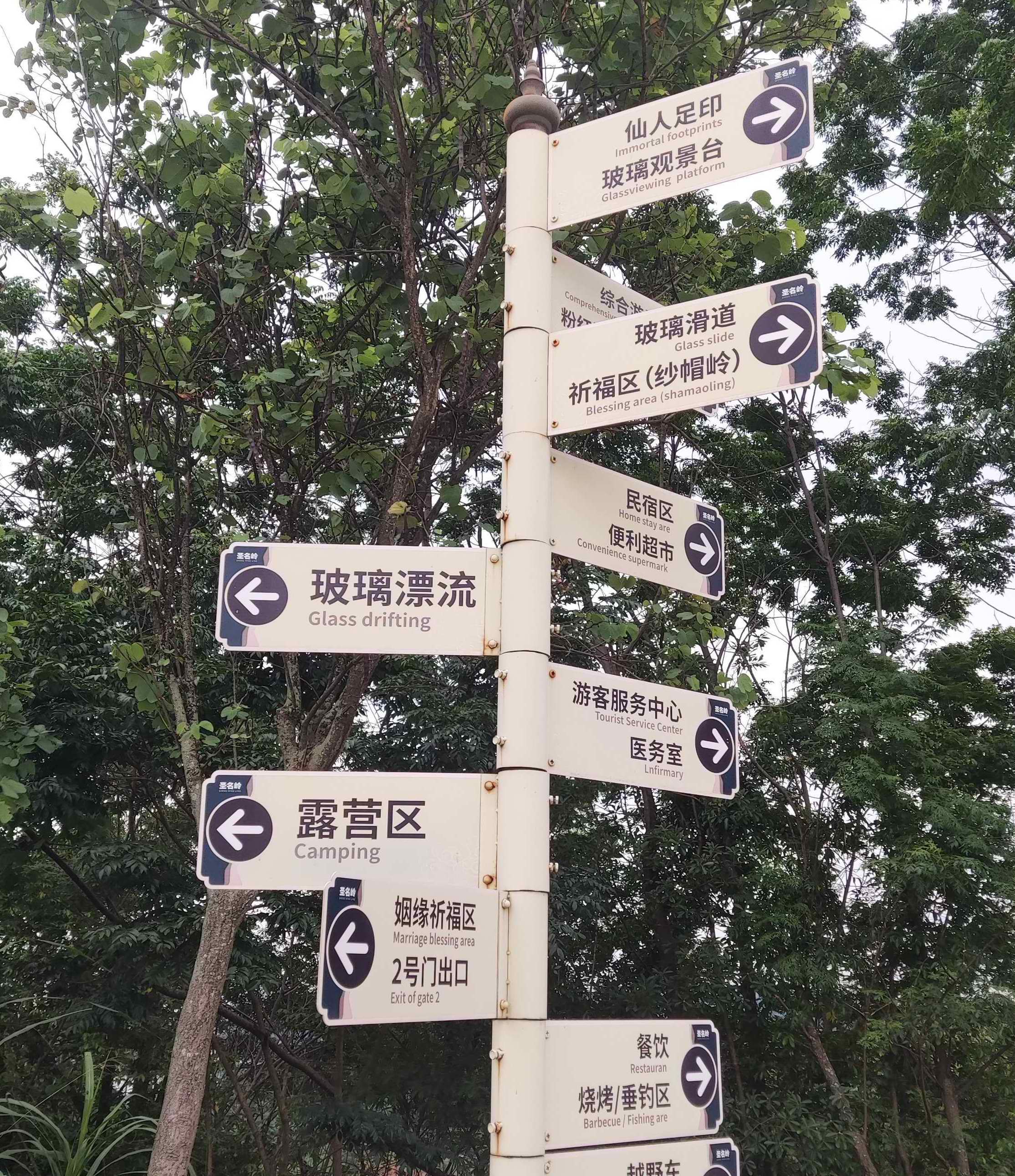 25072621384685297.jpg