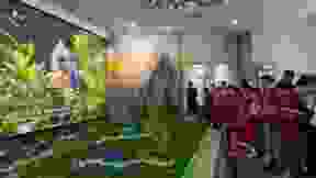25052212394275417.jpg